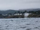 PICTURES/Whale Watching - Depoe Bay/t_Blowq.jpg